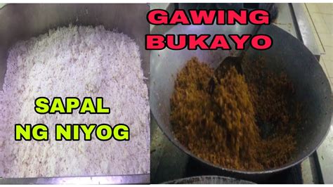 sapal ng niyog in english|NIYOG: Definition of the Tagalog word niyog in English..